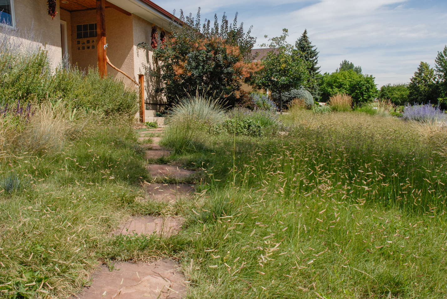 Southwest Spin Xeriscape